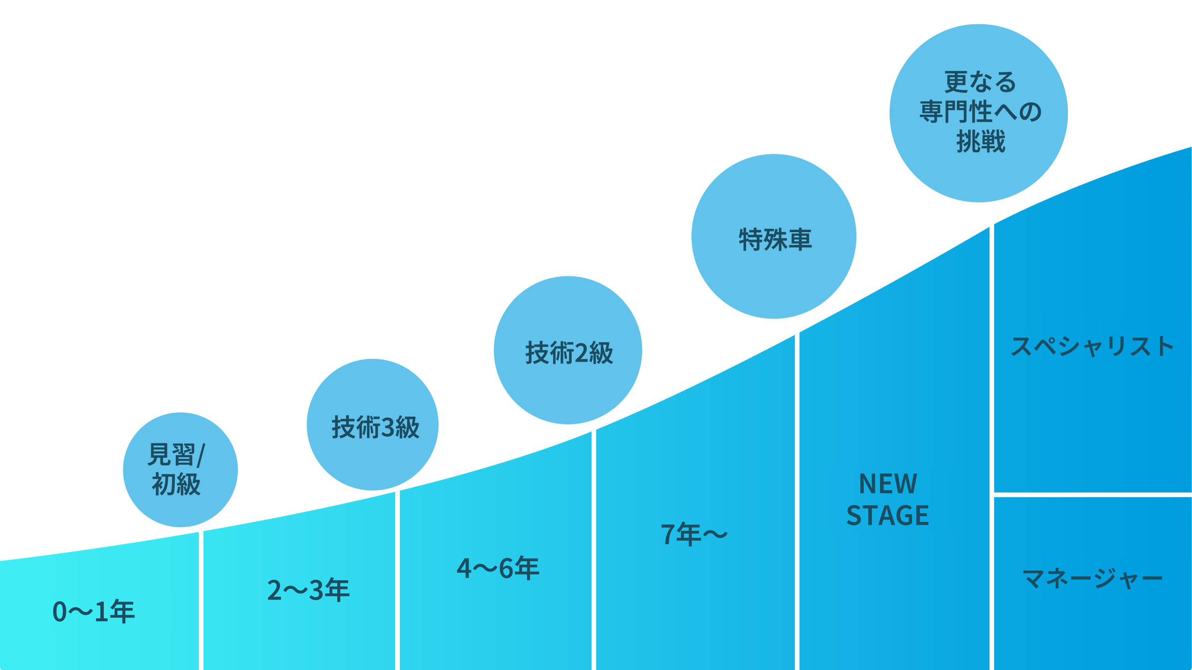 技術アジャスターとしてキャリアをスタートしっかり実務経験を積み、プロフェッショナルへ!